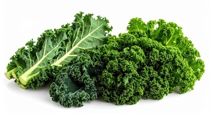 fresh kale and cavolo nero isolated on white background, organic and healthy food, raw vegetable