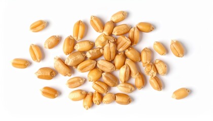  fresh seeds isolated on white background, organic and healthy food, raw vegetable