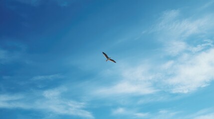 Obraz premium minimalistic close-up capturing bird in flight with expansive sky as background