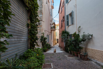 Fototapeta premium Narrow street decorated with ornamental plants in the old town