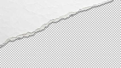 Realistic Torn White Paper Edge with Rolled Curl and Transparent Background for Design Overlay