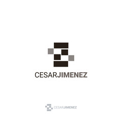 Blocks logo design 