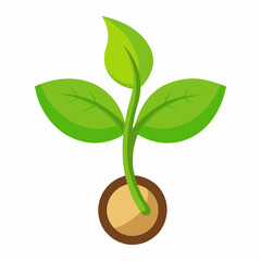 Bean Sprout icon on white background 