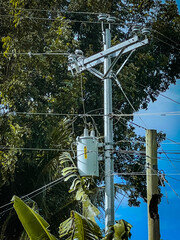 Close-up of a utility pole in Alegria, Cebu, Philippines. Electric power lines amidst tropical...