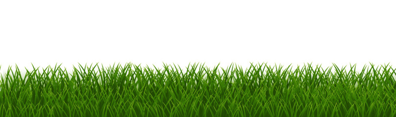 Obraz premium Grass Frame With Isolated White Background