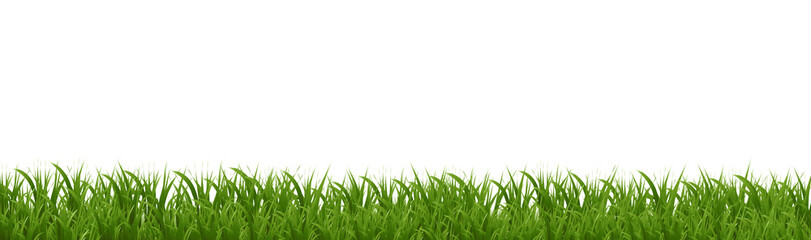 Obraz premium Green Grass Border Isolated White Poster