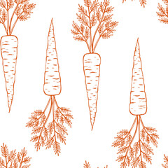 Seamless pattern with carrot. Hand drawn vector illustration.