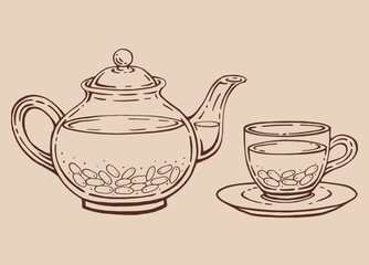 Tea set with glass teapot and cup, barberry tea. Hand drawn vector illustration in outline style.