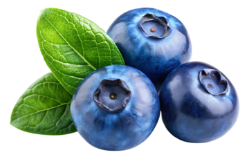 blueberries isolated on white background