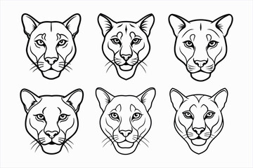 Fototapeta premium set of cougar lion head line art vector illustration