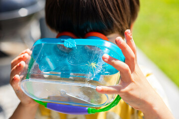 Caucasian child boy, 4 years old, observing a green grasshopper inside a bug viewing case, a toy that allows kids to see magnified insects and other animals with educational purpose.