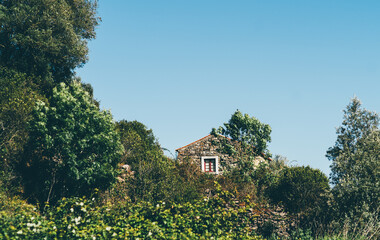 Naklejka premium Stone house with red-framed window partially hidden by dense green trees and shrubs under a clear blue sky, evoking rustic solitude and natural harmony in a countryside setting; telephoto shot