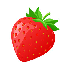 Fototapeta premium Glossy Red Strawberry Vector Illustration