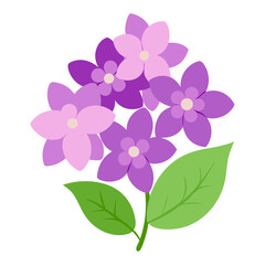 Hydrangea Flower Vector – Violet Floral Illustration

