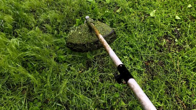 A person using a trimer to mow grass