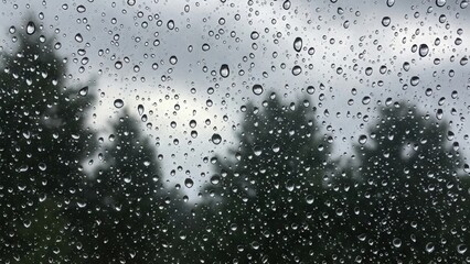 Obraz premium Rainy window with water droplets and blurred background trees rain wallpaper 4k | rain aesthetic wallpaper 4k | rain frog | rain news weather report monsoon
