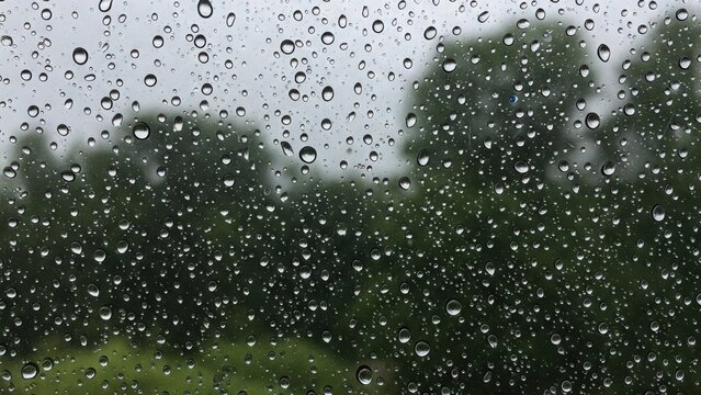 Rainy window with water droplets and blurred background trees rain wallpaper 4k | rain aesthetic wallpaper 4k | rain frog | rain news weather report monsoon