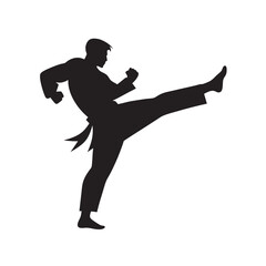 Karate Fighter High Kick Silhouette