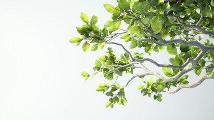 Lush green leaves on twisting branch create serene and calming atmosphere, perfect for nature lovers and tranquil settings