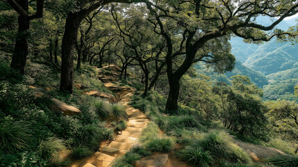 Fototapeta premium Forest hiking trail. Scenic mountain path. Nature trail in the woods. Green forest landscape. Outdoor adventure trail. Mountain forest scenery. Stone steps in forest. Lush woodland hike