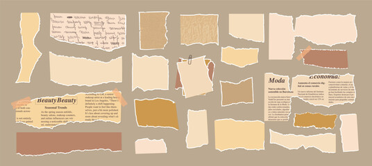 Set of torn edges vintage papers. Tear sheets pieces pack. Jagged freeform recycled templates packaging cardboard. Collage elements. Ripped blank pages. Vector hand drawn collection illustration.