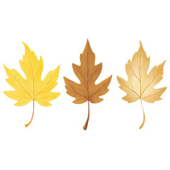 Fototapeta premium Three autumn leaves golden hues fall colors