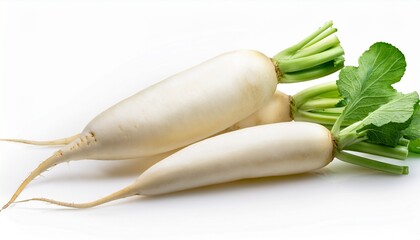 white radish vegetable fresh food isolated on a white background