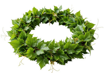 Green leaves wreath vector isolated on transparent background