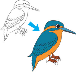 Cute Kingfisher Cartoon Outline and Coloring Illustration Isolated on White Background