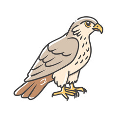 falcon icon, falcon vector illustration-simple illustration of falcon, perfect for falcon logos and icons