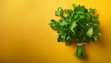 bunch of green parsley on the yellow background