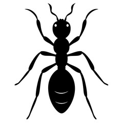 Black Ant Silhouette Top View Detailed Illustration