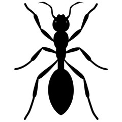 Black Ant Silhouette Top View Illustration
