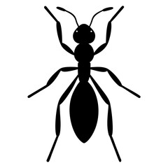 Black Ant Silhouette Illustration Top View