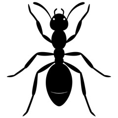 Black Ant Silhouette Top View Illustration