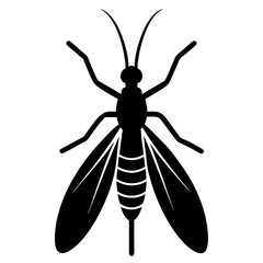 Black and White Silhouette of a Mosquito Insect