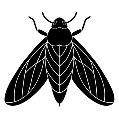 Black and White Cicada Illustration Vector Graphic