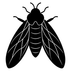 Black Silhouette of a Cicada Insect Illustration