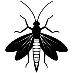 Black and White Silhouette of a Caddisfly Insect
