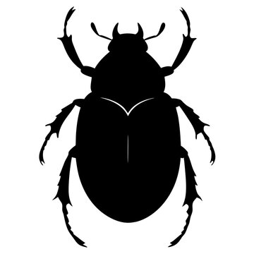 Black Silhouette of a Large June Bug Beetle