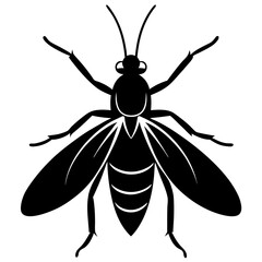 Stylized Black and White Insect Illustration
