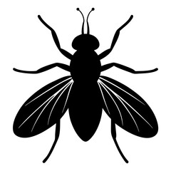 Black Silhouette of a House Fly Detailed Illustration