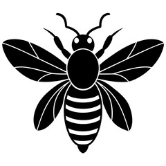 Stylized Black and White Bee Illustration