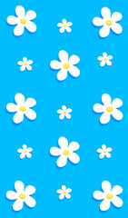 Background with daisies. Print with daisies. Daisies