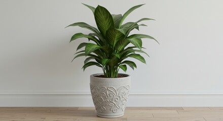 Fototapeta premium Elegant indoor plant in a decorative pot against a minimalist white wall background