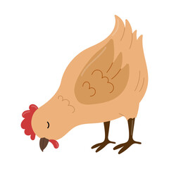 Hen leaned over to eat. Handdrawn Chicken vector illustration in children's style. Farm animal concept