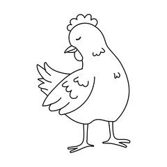 Hen outline illustration on white background. Then Chicken line art vector illustration with smooth lines.