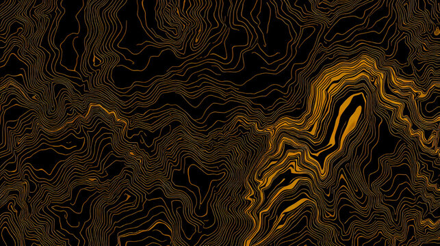 Topographic map contour background, line pattern. Concept of a conditional geography scheme and the terrain path. Golden and black organic wallpaper. illustration