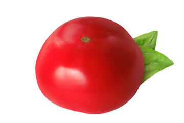 Tomato and basil leaves on isolated white background. Red tomato