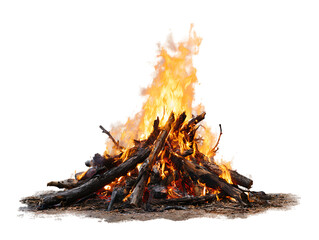 Obraz premium BoBonfire on png